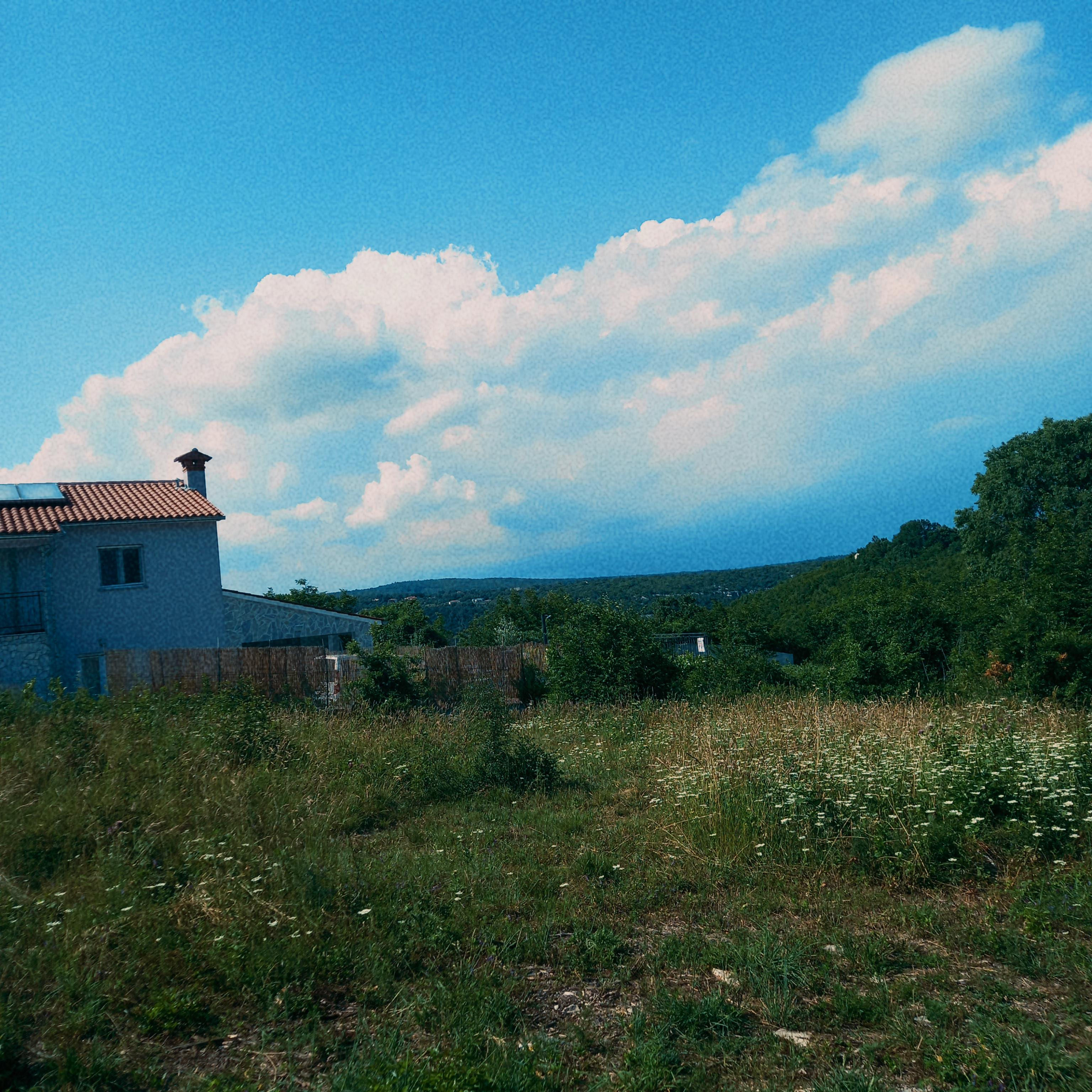 Behind the house is always an endless summer.