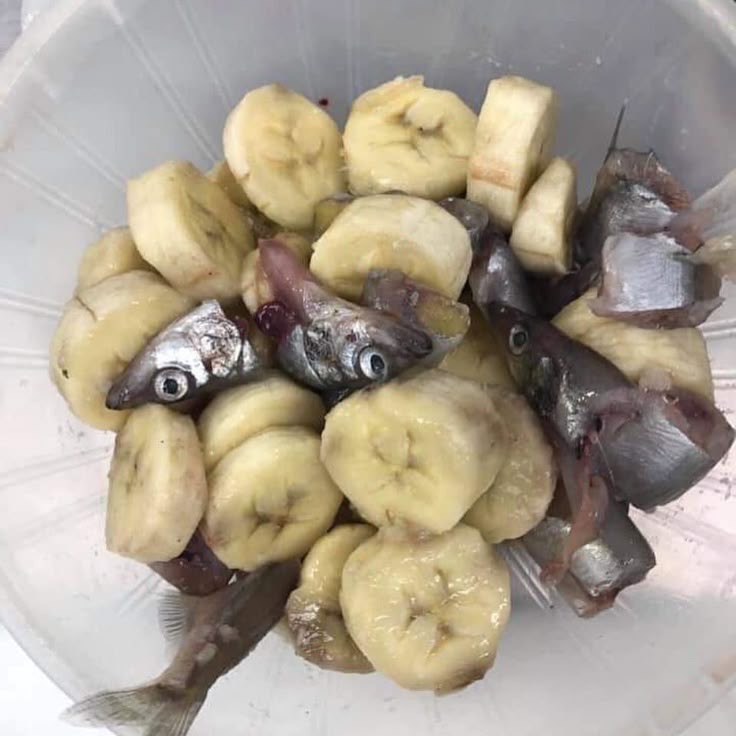 Cursed Cuisine, Vol. 1