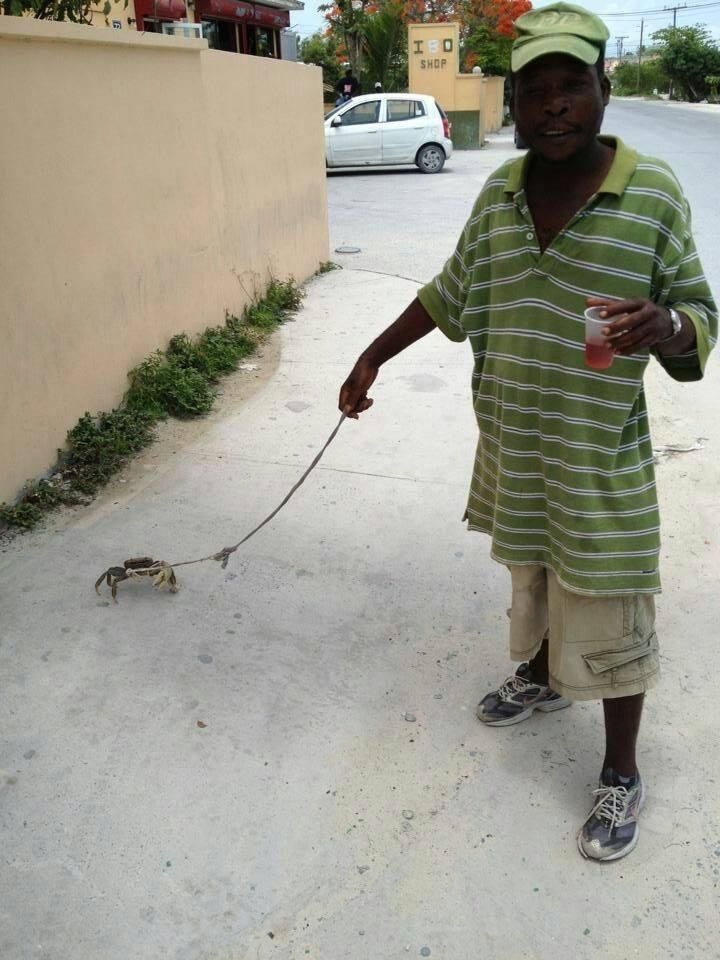 Walking Sebastian