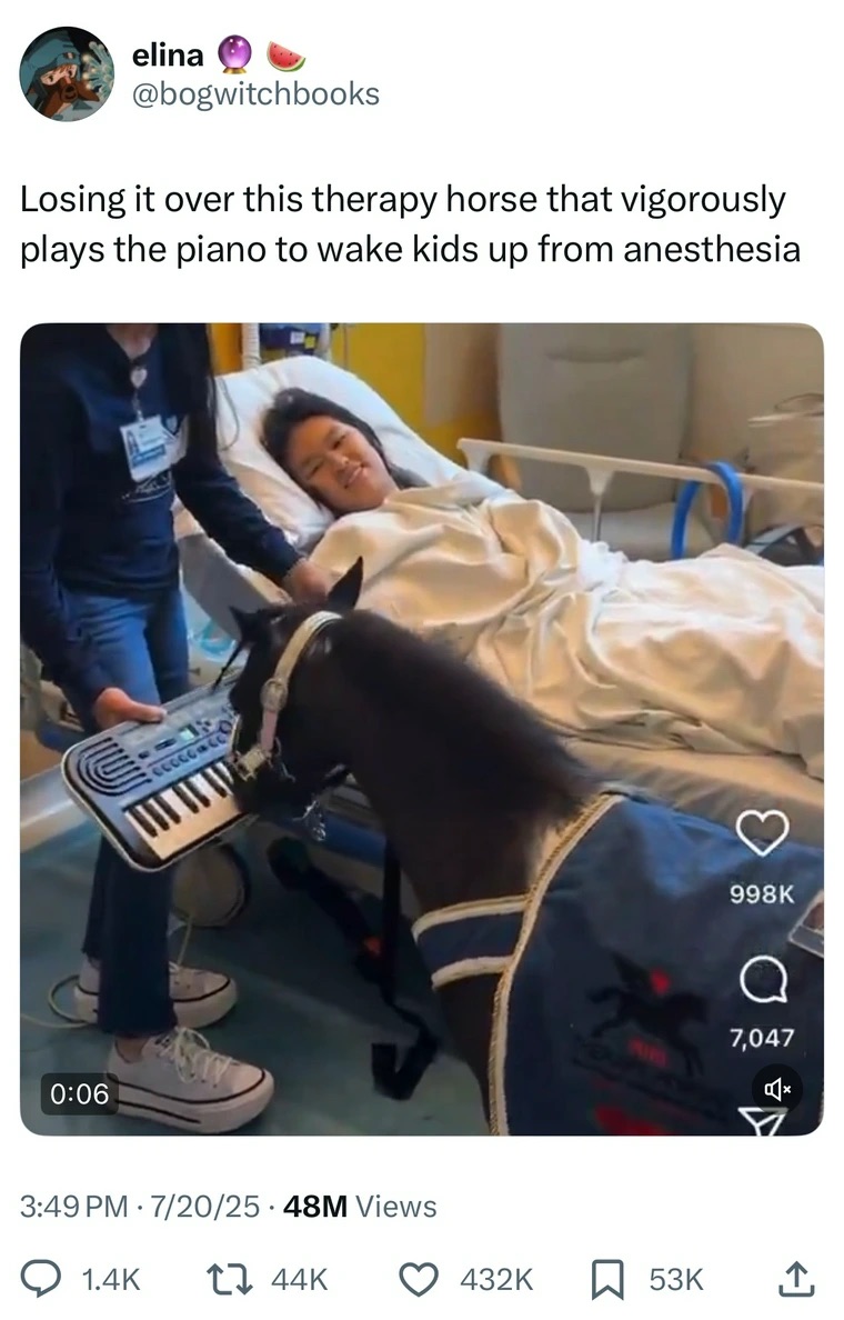 24 Funny Tweets to Kick Tuesday In the Teeth