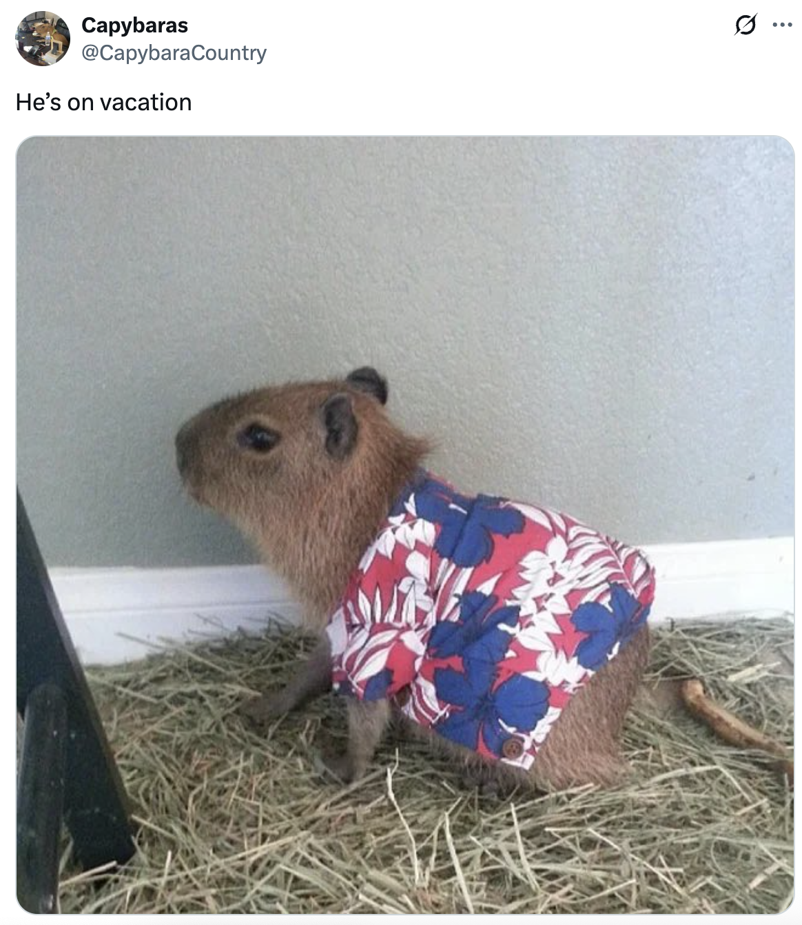 24 Funny Tweets to Kick Tuesday In the Teeth