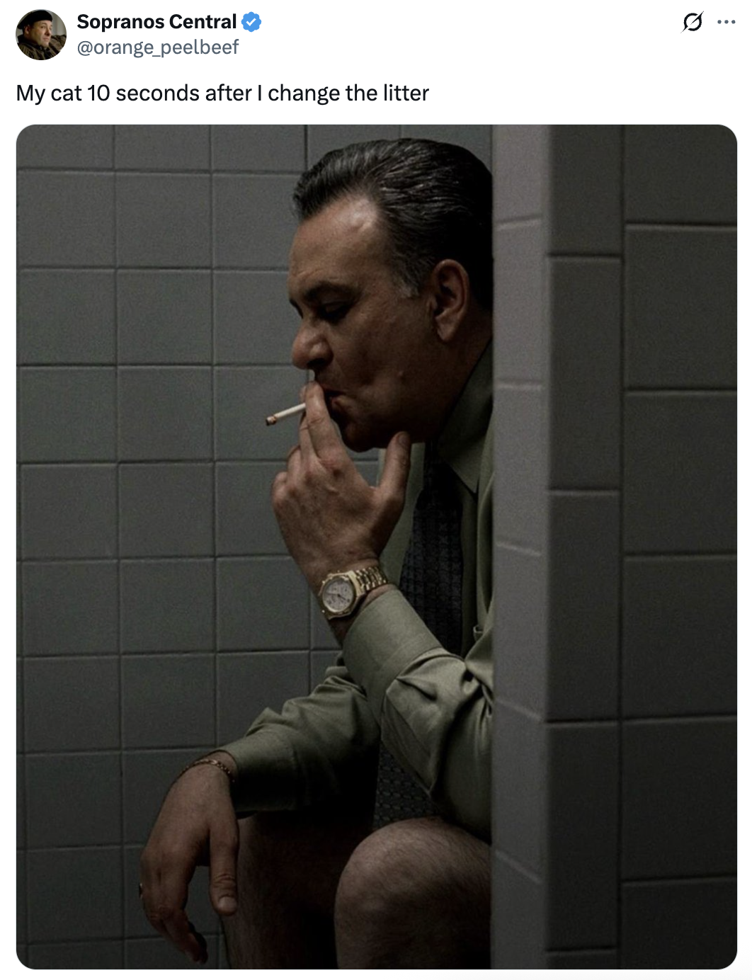 24 Funny Tweets to Kick Tuesday In the Teeth