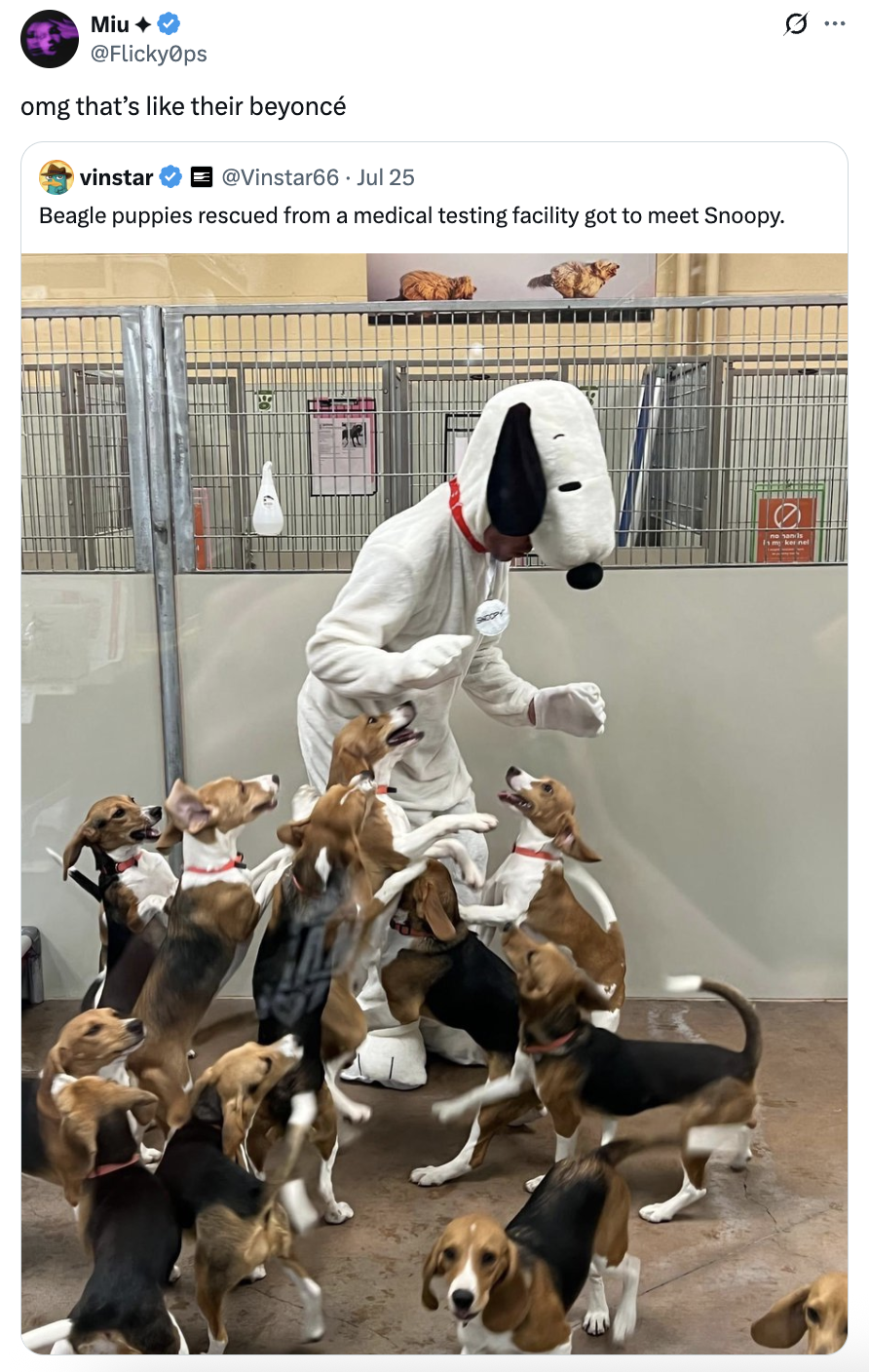 24 Funny Tweets to Kick Tuesday In the Teeth