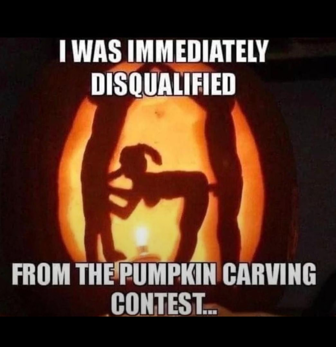 These NSFW Memes Are Guilty of Horniness in the First Degree