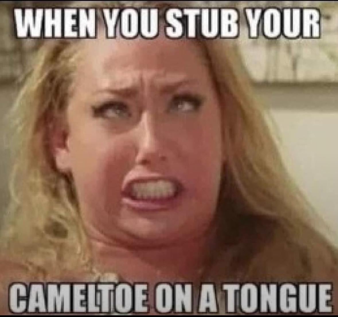 These NSFW Memes Are Guilty of Horniness in the First Degree