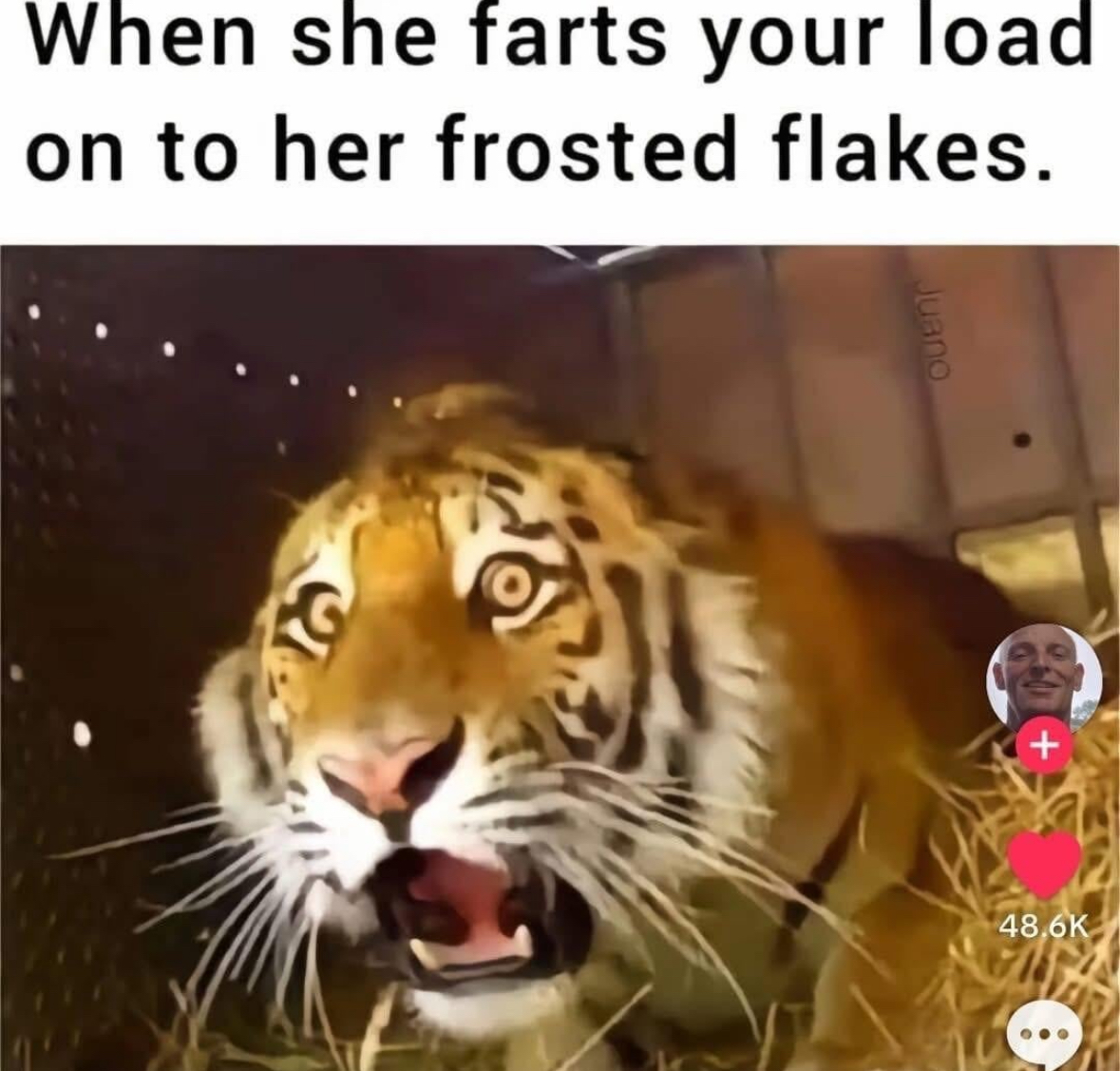 20 NSFW Memes That Basically Finish You Off