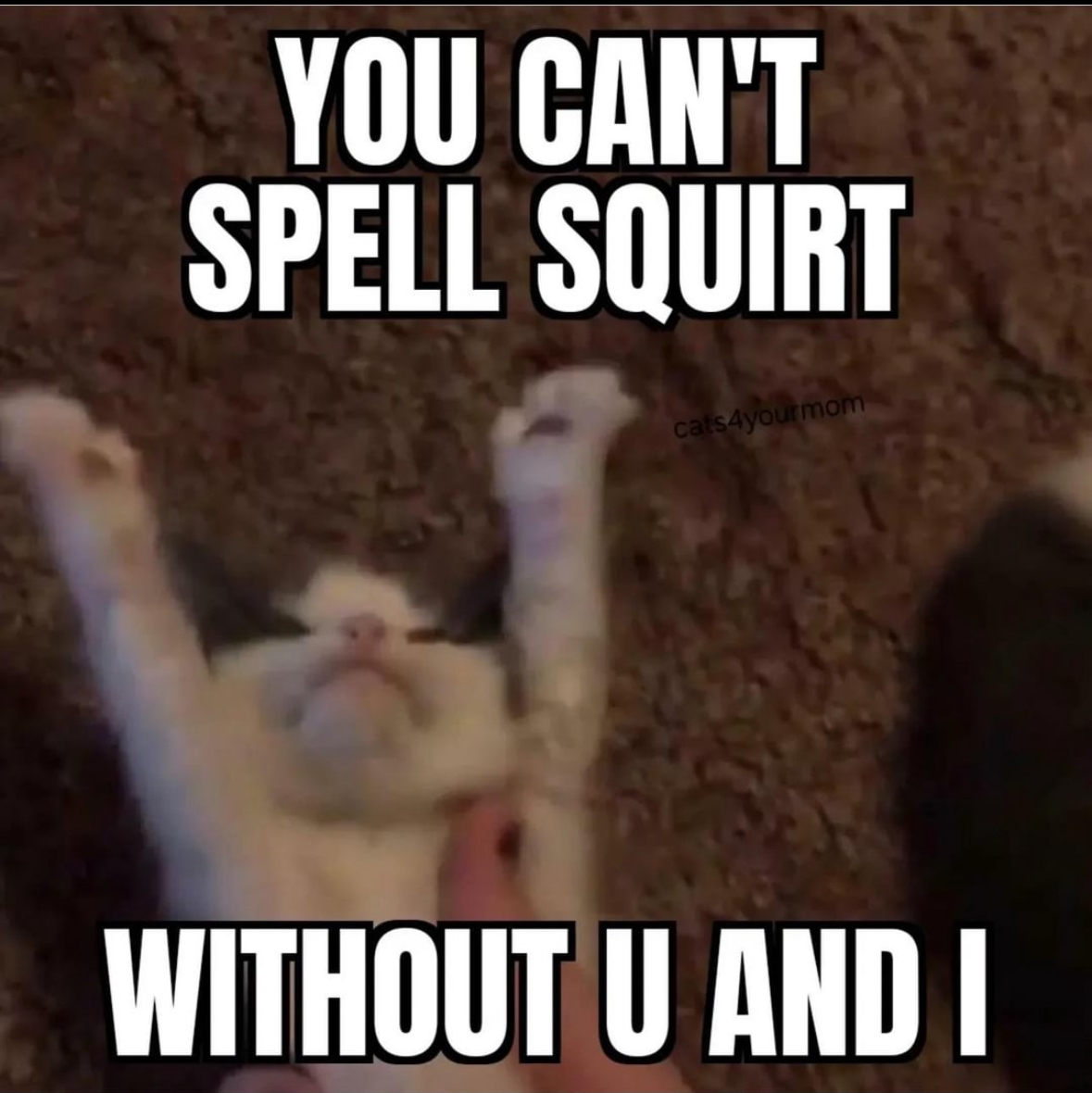 20 NSFW Memes That Basically Finish You Off