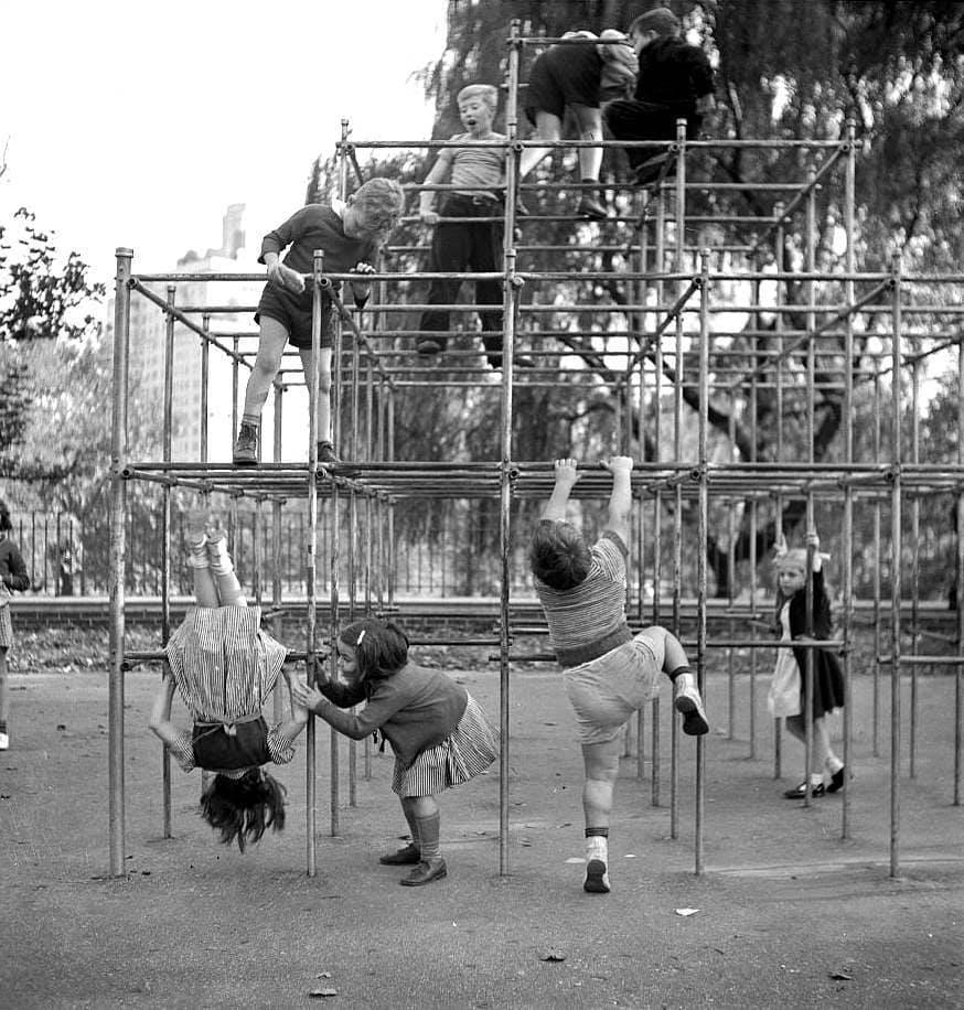 Jungle gym roulette