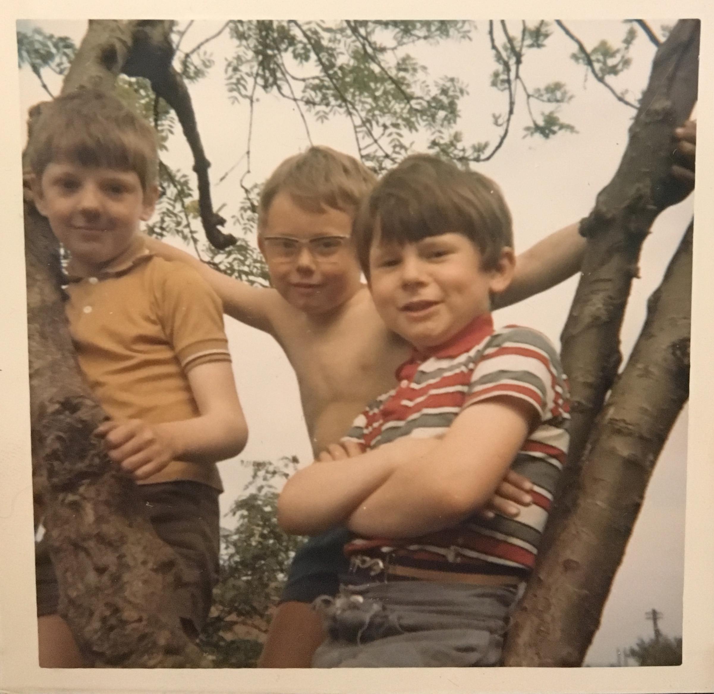 Climbing trees