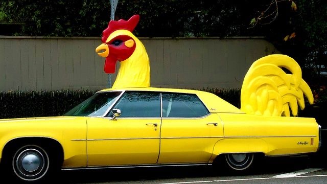 Winner, Winner, Chicken... Car?