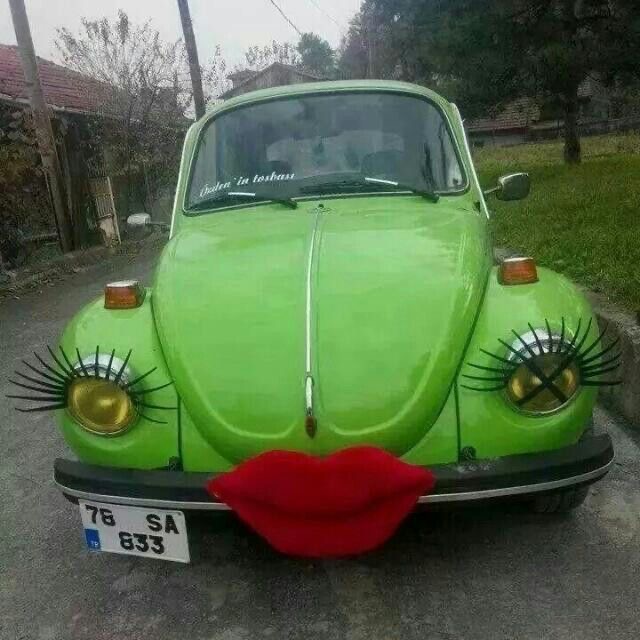 Kermit’s Secret Life