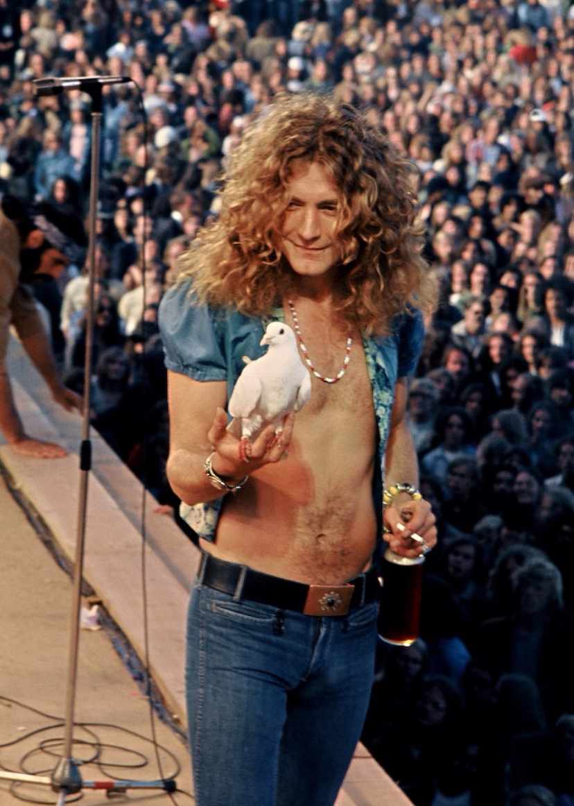 Robert Plant: One Dove, One Smoke, One Can of Mystery