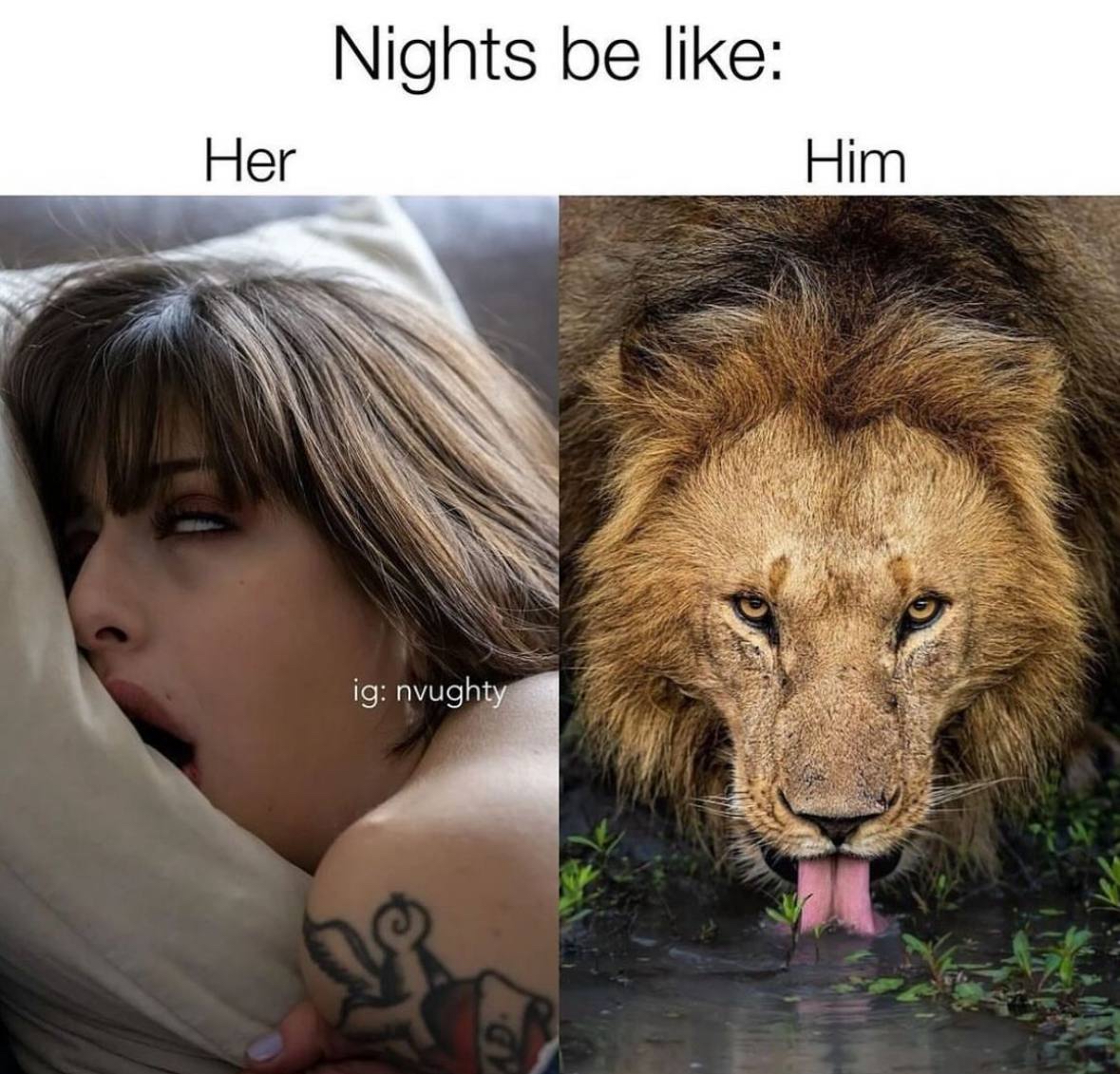 20 NSFW Memes That Are Hornier Than the Group Chat