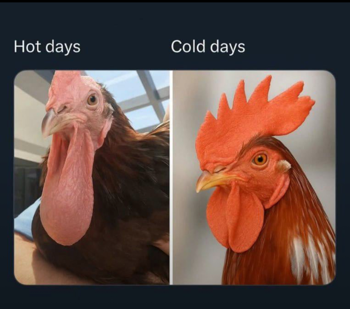 20 of the Spiciest Twitter Memes You'll See on the Internet Today