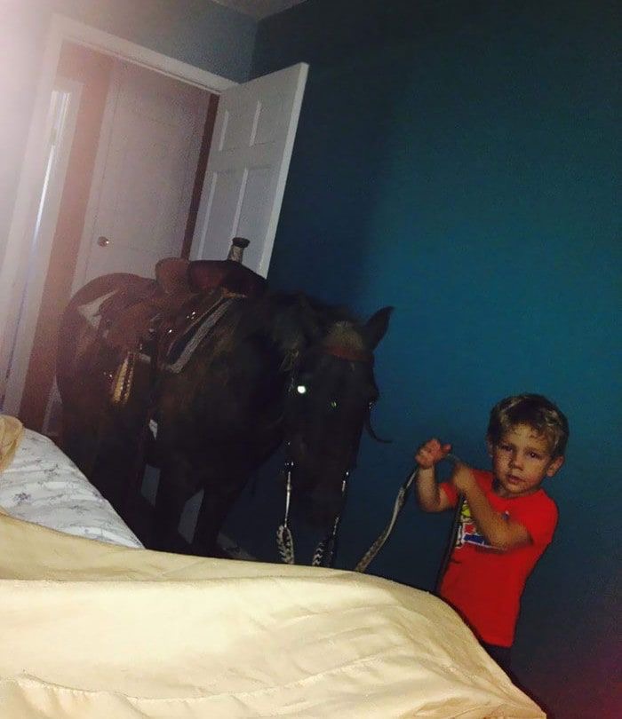 Surprise, It’s a Horse! Also, You’re Grounded