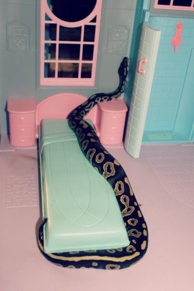 Barbie's New Roommate Has Scales