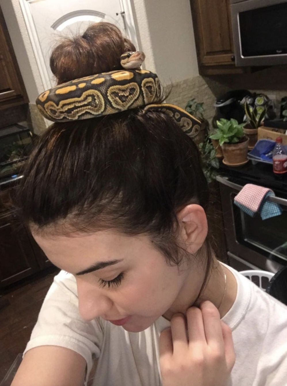 The Hair Bow That Whispers