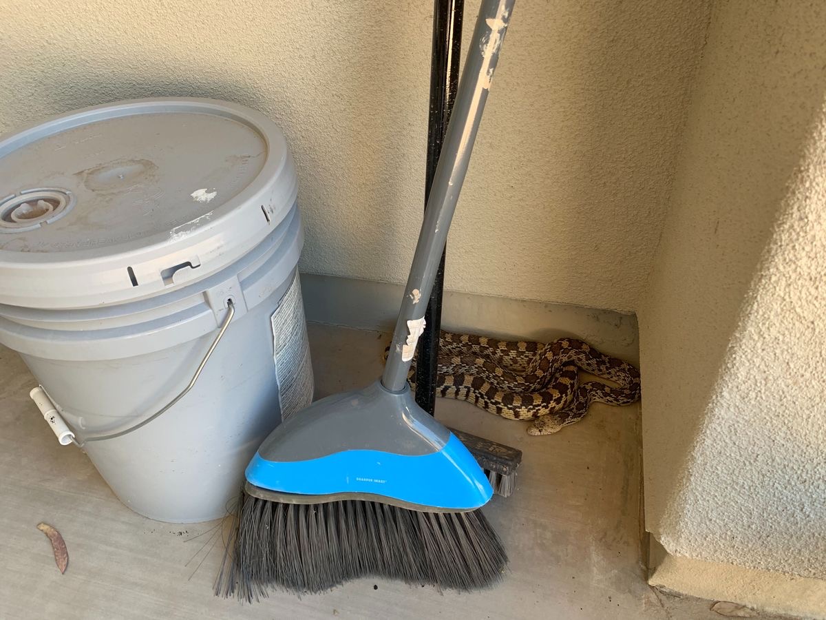 Behind the Broom Lies the Doom