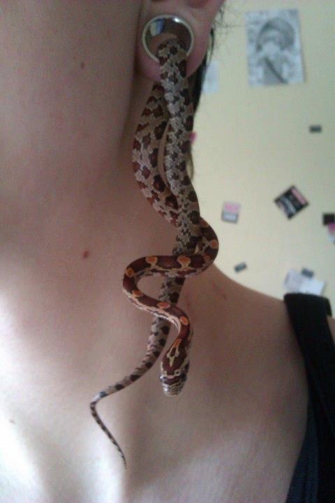 The World’s Deadliest Earring