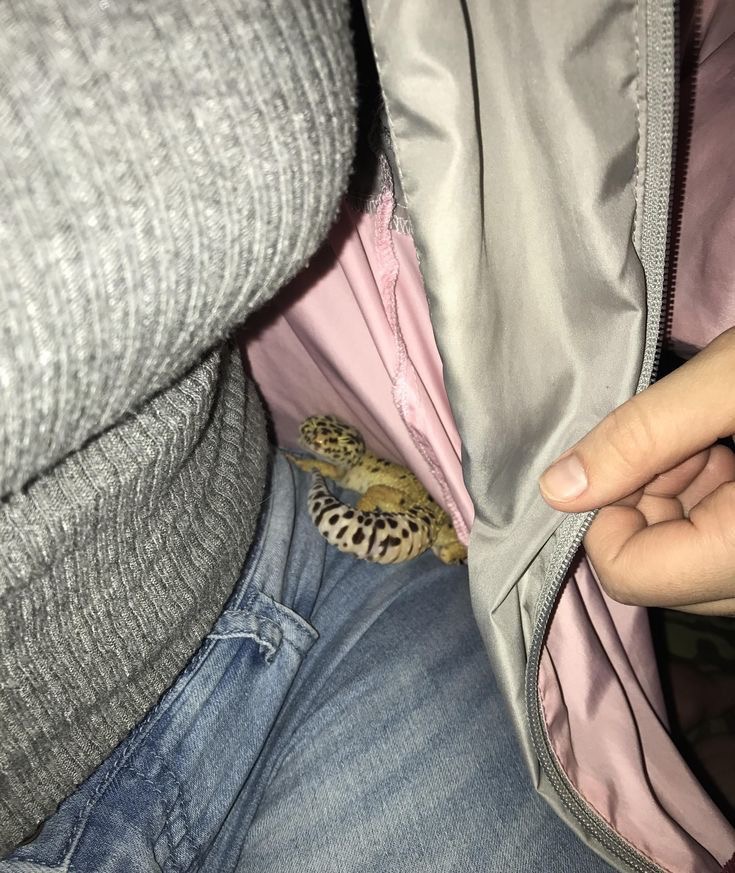 Snake in a Jacket: The Revenge of the Sleeve Beast