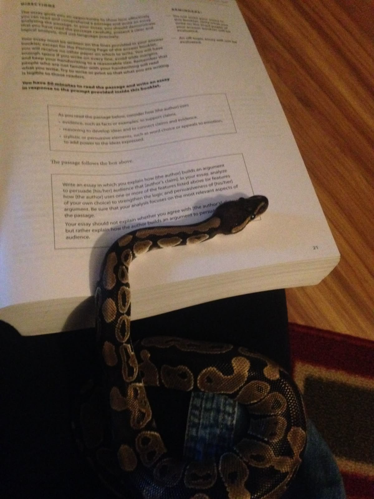 The SAT Just Got Venomous