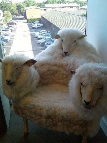 Sheep Chair Cerberus Edition