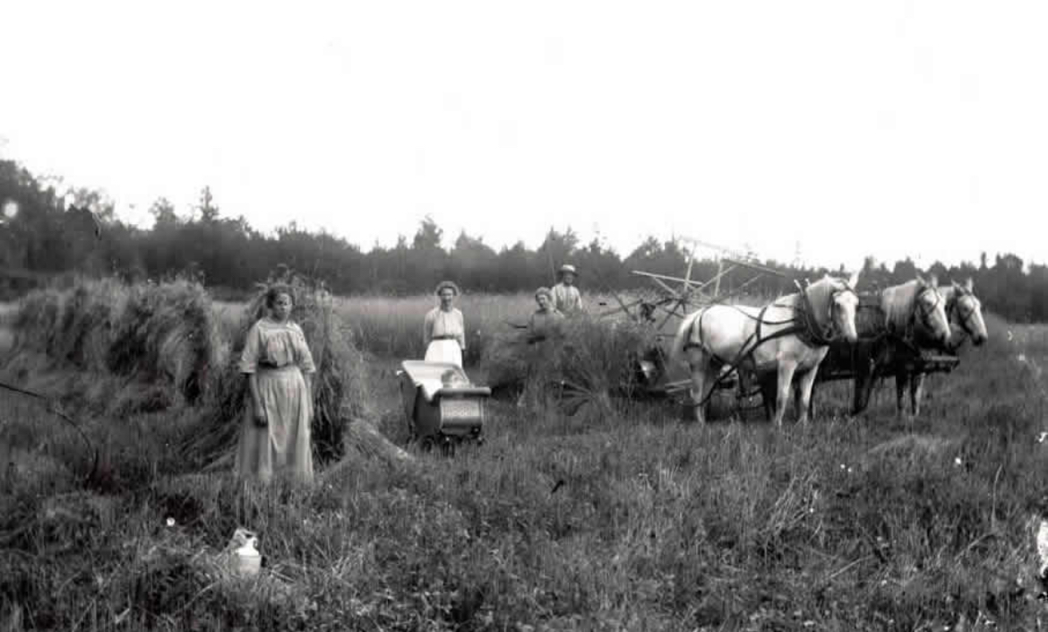 Horsepower Meant Horses