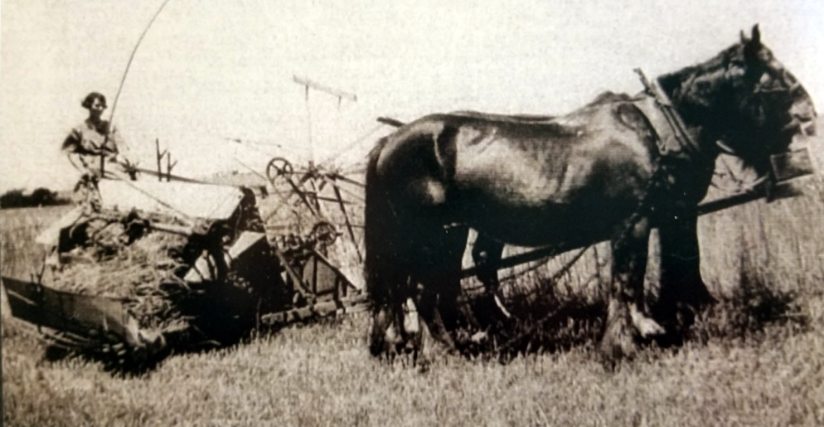 The Original Commute