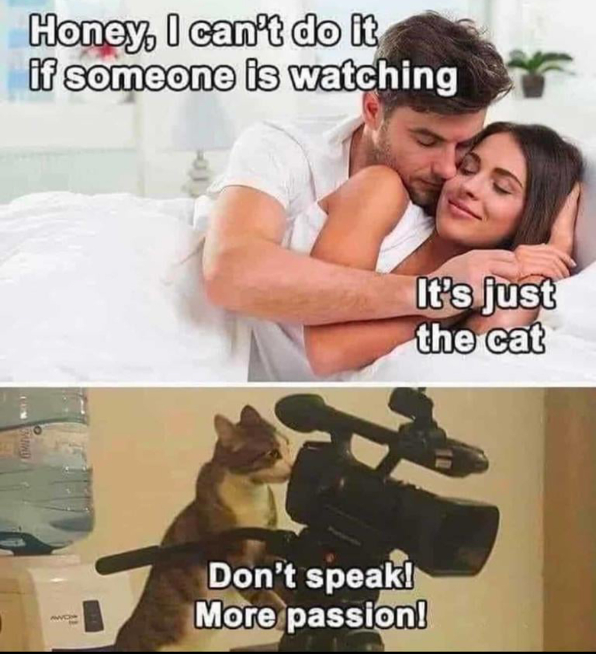 20 Random NSFW Memes That Just Scream 'Regret'