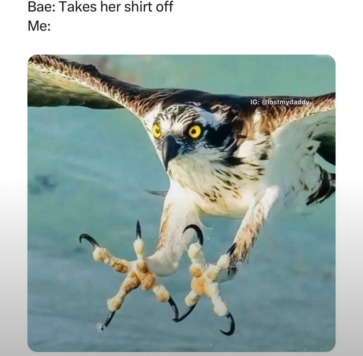 20 Random NSFW Memes That Just Scream 'Regret'