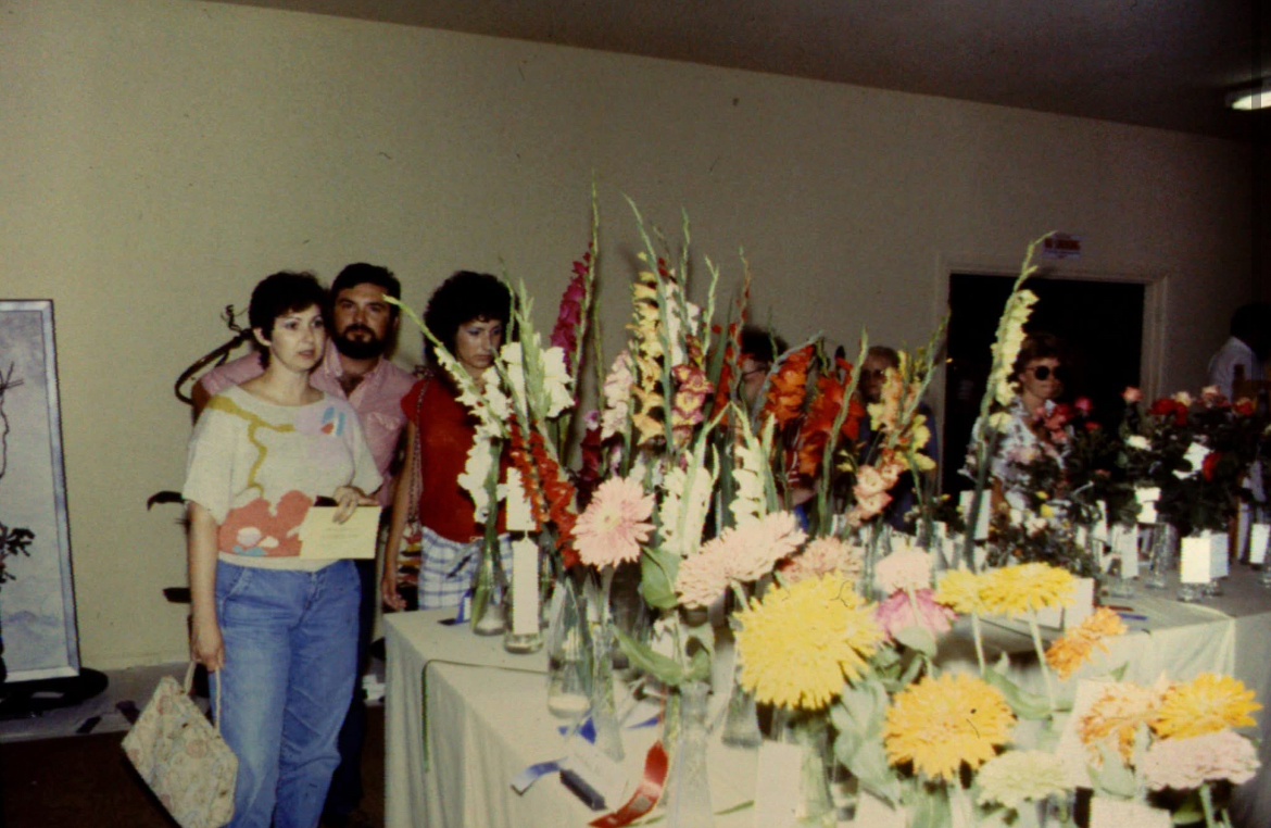 Bloom and Doom (for the Competition)