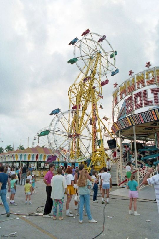 Loud, Proud, and Slightly Dangerous