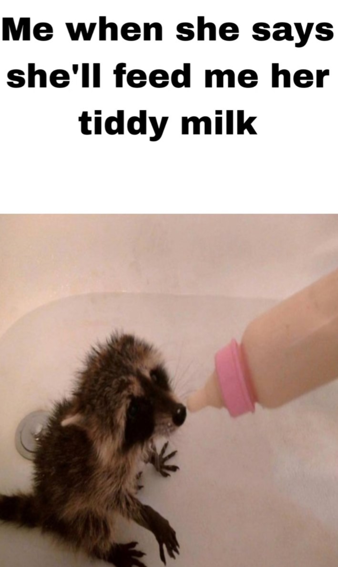 23 NSFW Memes That Will Touch You in Places Your Ex Never Did