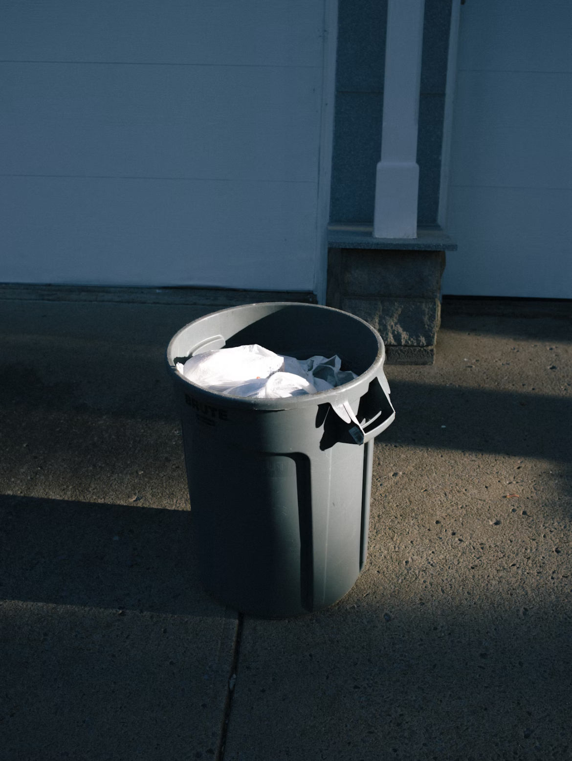 Bagel Crumbs for the Queen