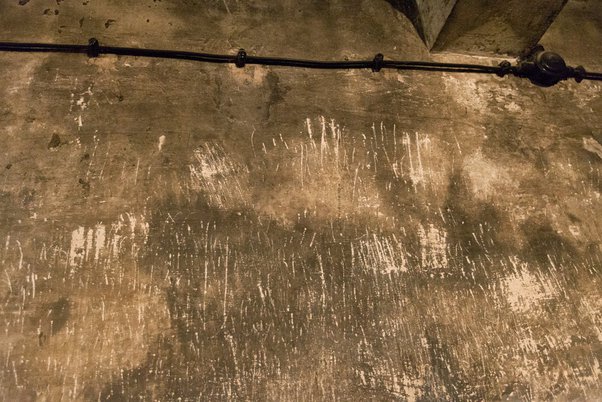 The silence still screams.