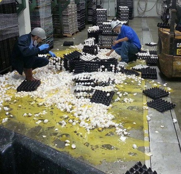 First task: eggs. Lasted 3 minutes.