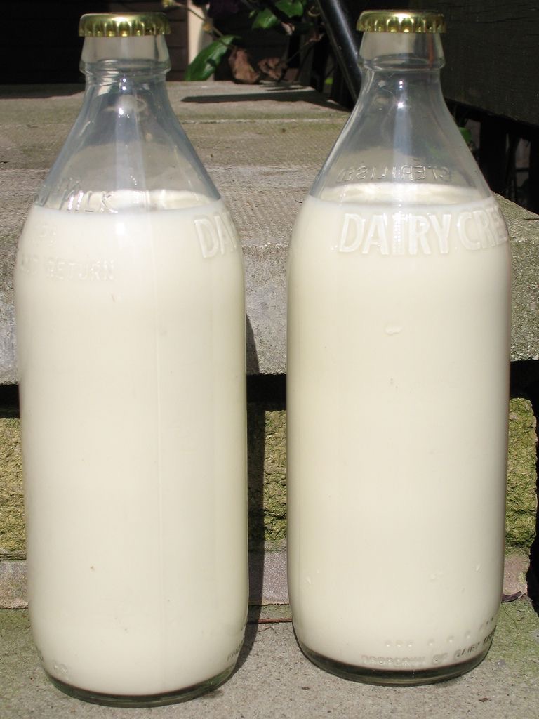 Milk in a Glass Bottle or Carton You Couldn’t Close Properly