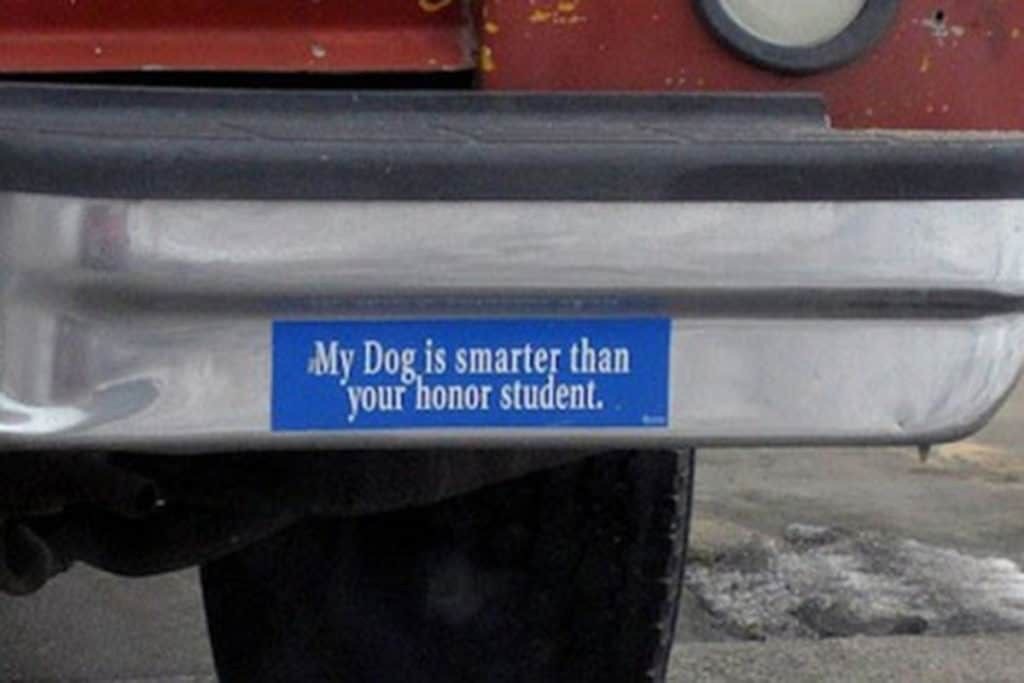 Your Honor Student Can’t Even Sit