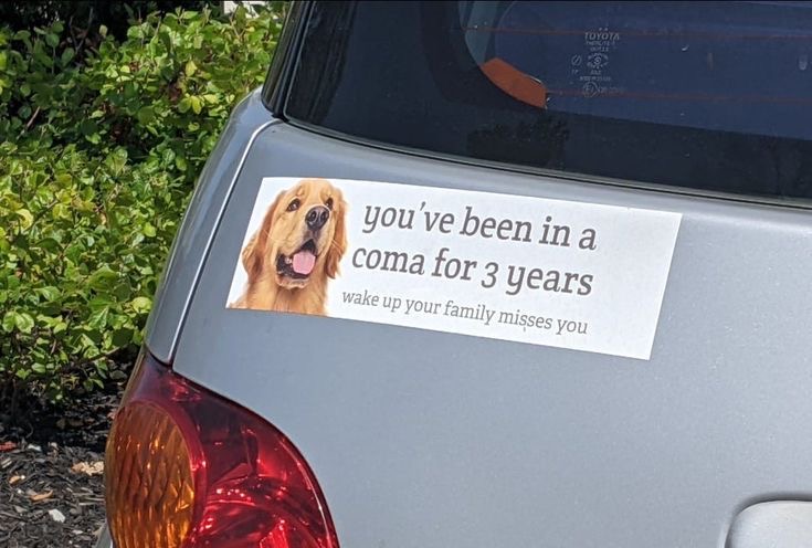 This Sticker Just Broke the Simulation