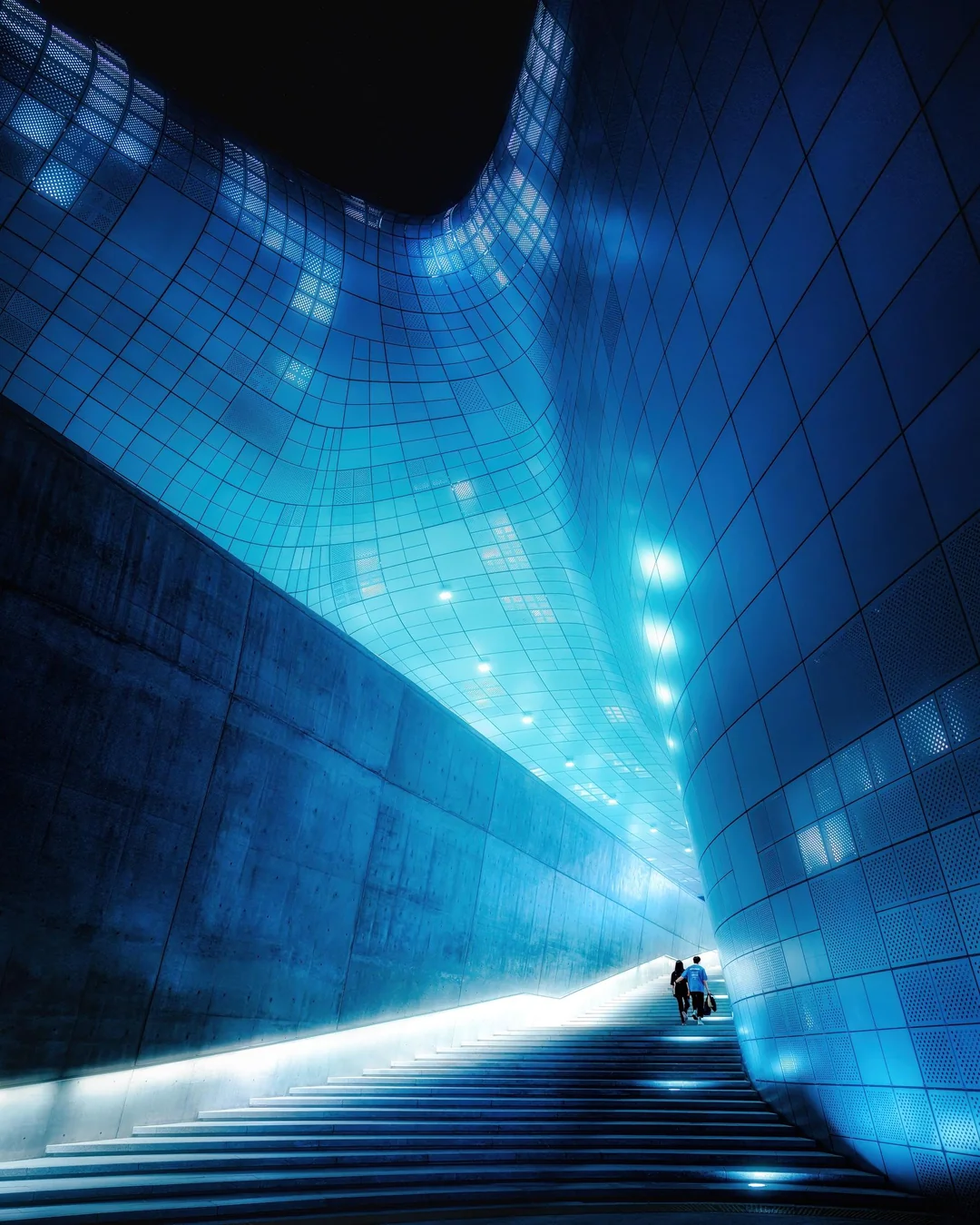 A cold light that draws you toward a dreamlike escape.