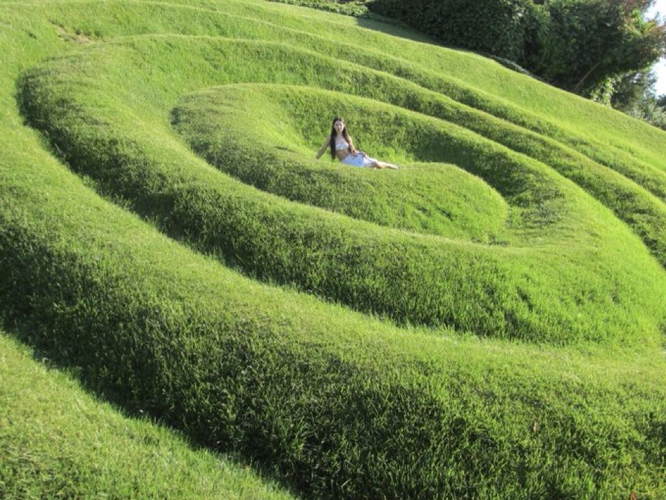 The Spiraling Lawn of Existential Riches