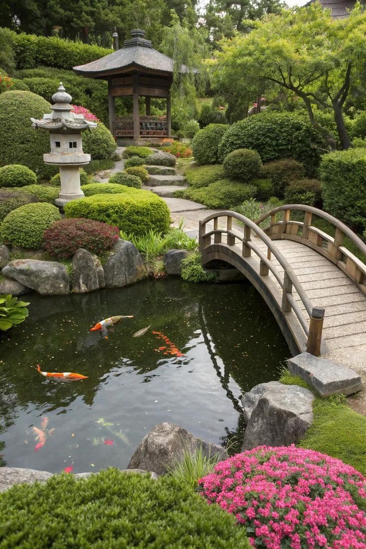 Koi Dreams and Pond Goals