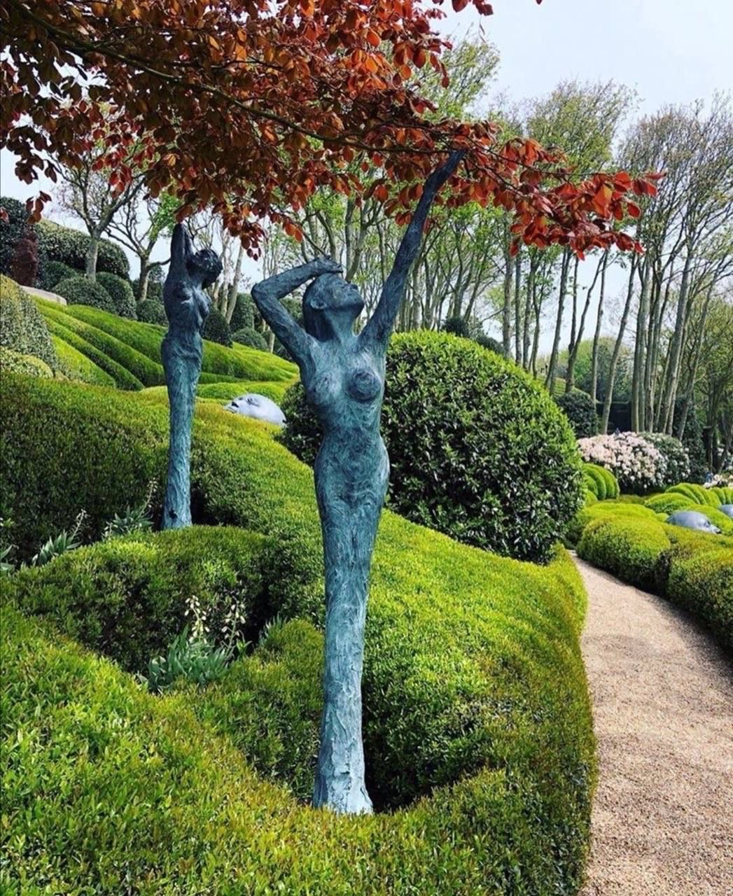 Trees That Are Straight-Up Ladies