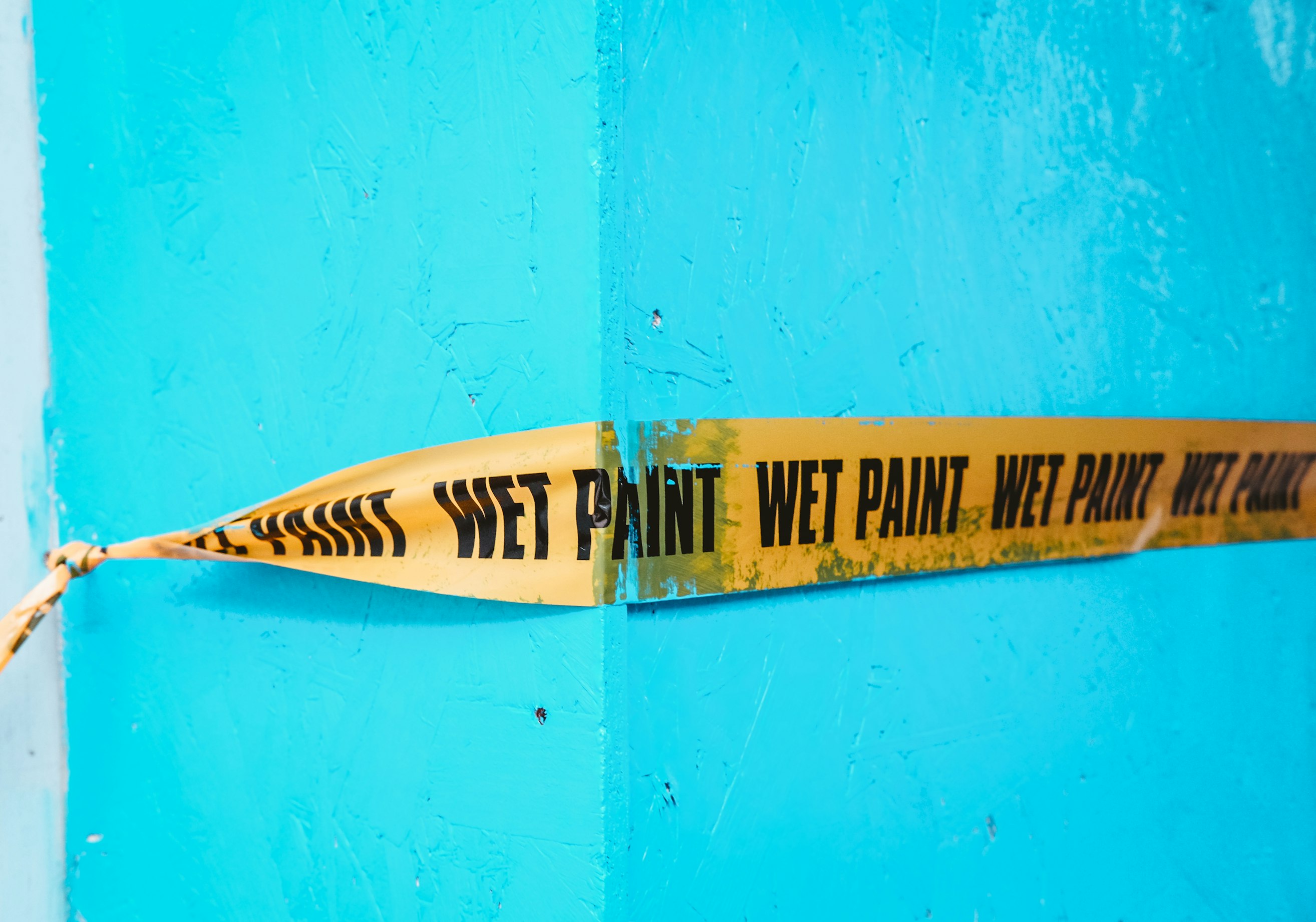 Touching wet paint “just to check.”