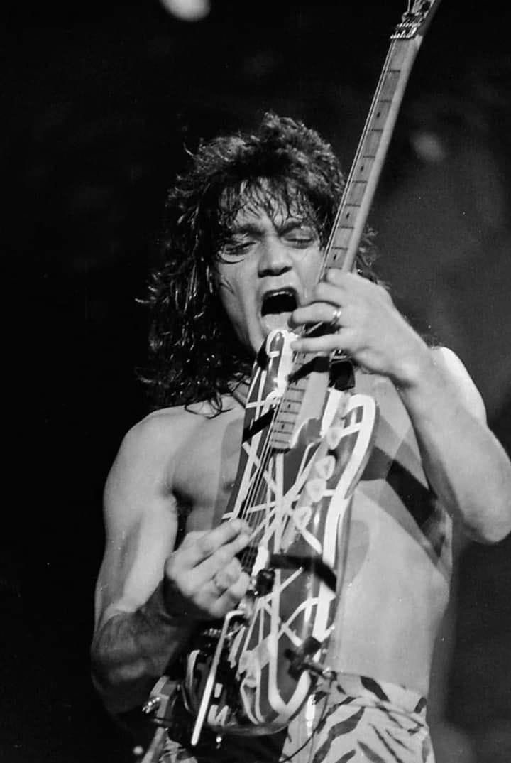 Eddie Van Halen: The Genius Wrestling with Demons