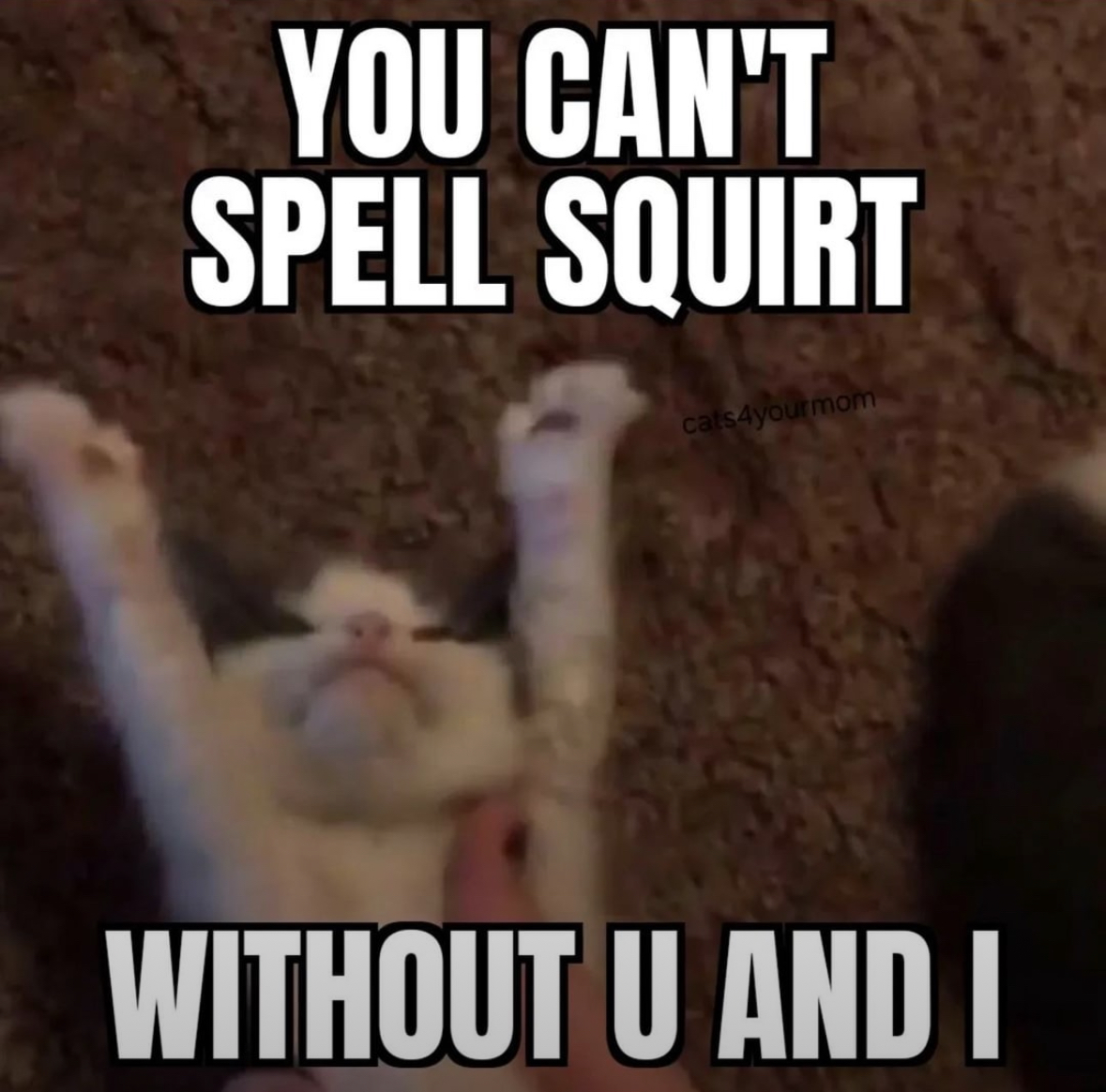 20 Spicy Memes That Feel Way Too Good to Be Legal