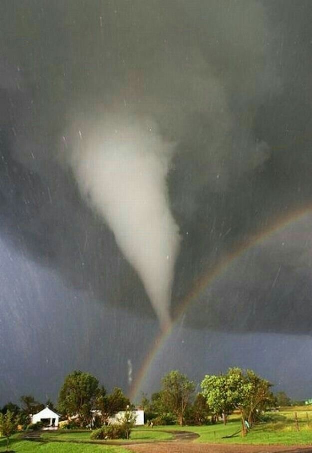 Tornado? Rainbow Said: Bet.
