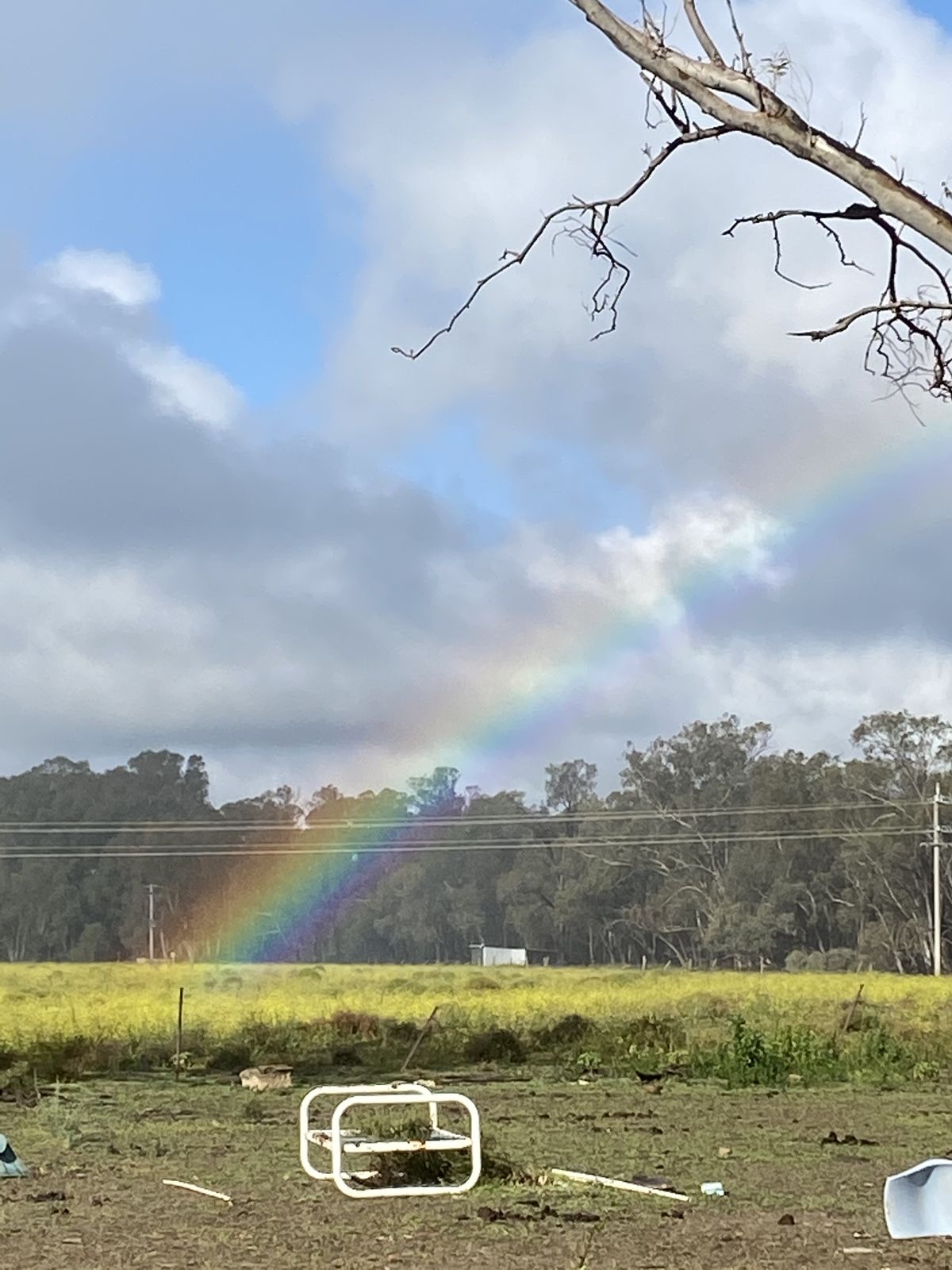 Even Ghosts Deserve Color