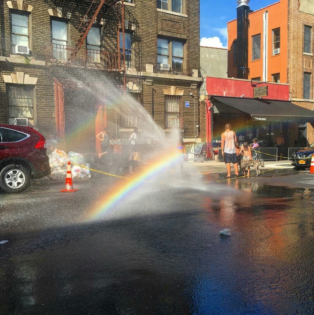 Traffic? Chaos. Rainbow? VIBES.