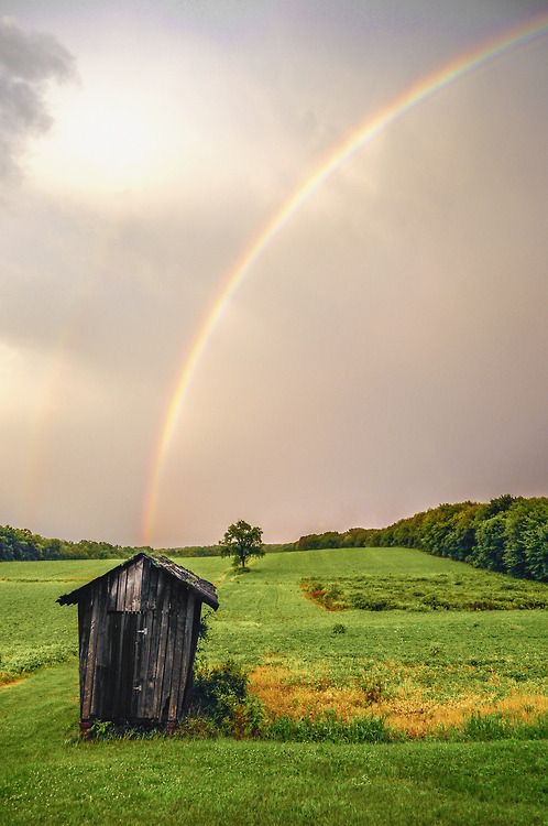 Abandoned Bathroom, Sponsored by Lisa Frank
